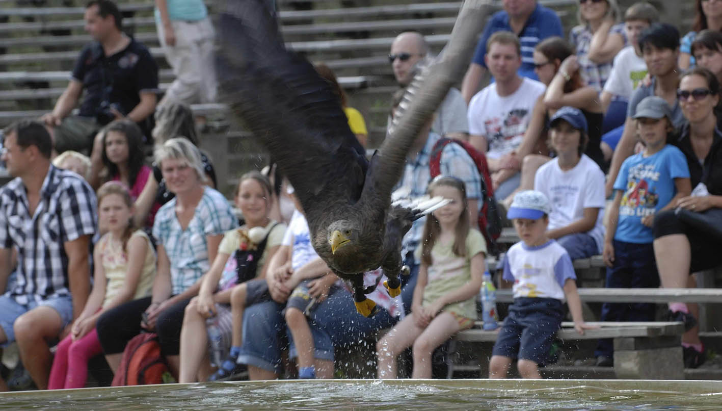 O ζωολογικός κήπος στο Pilsen