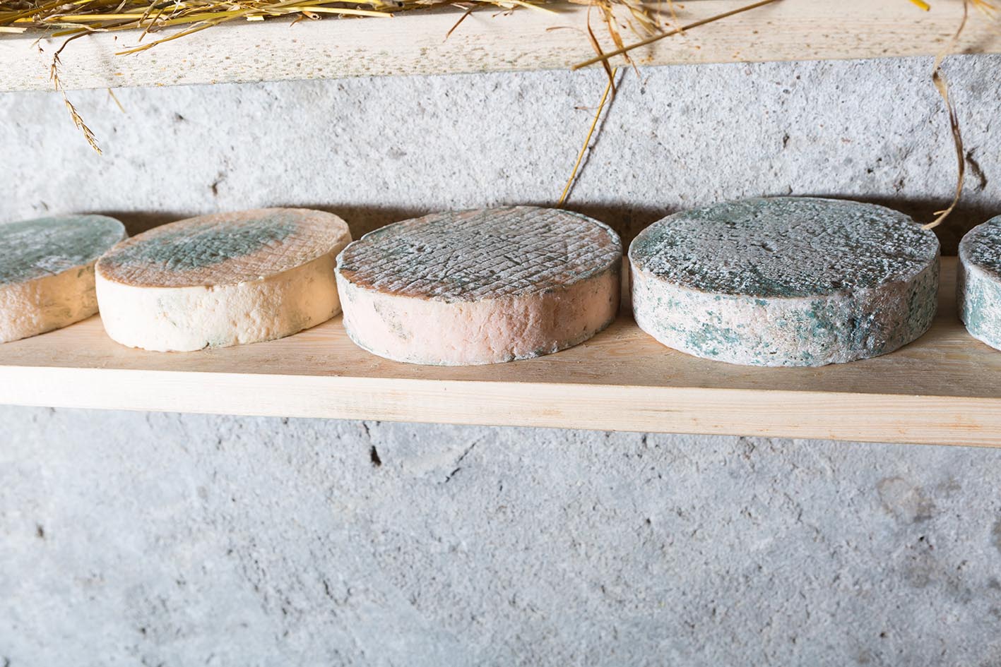 Γαλλικό κατσικίσιο τυρί που παλιώνει