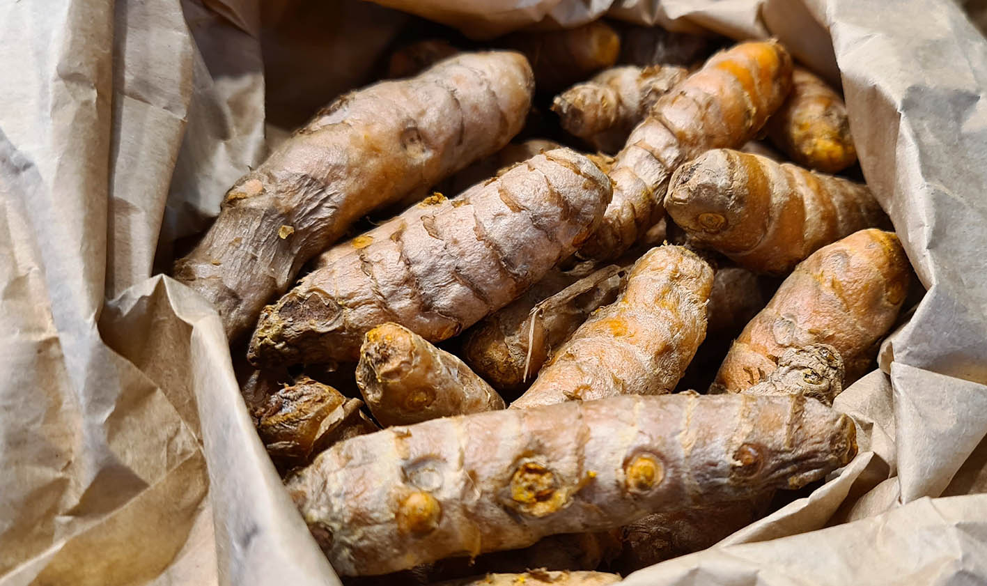 Η ρίζα του κουρκουμά, στη φυσική της μορφή