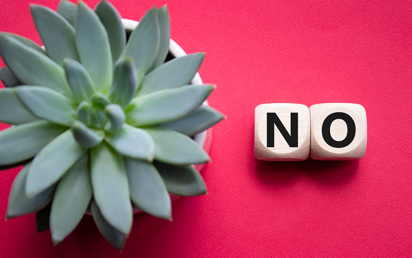 Γλάστρα και δίπλα κύβοι που δείχνουν τη λέξη όχι