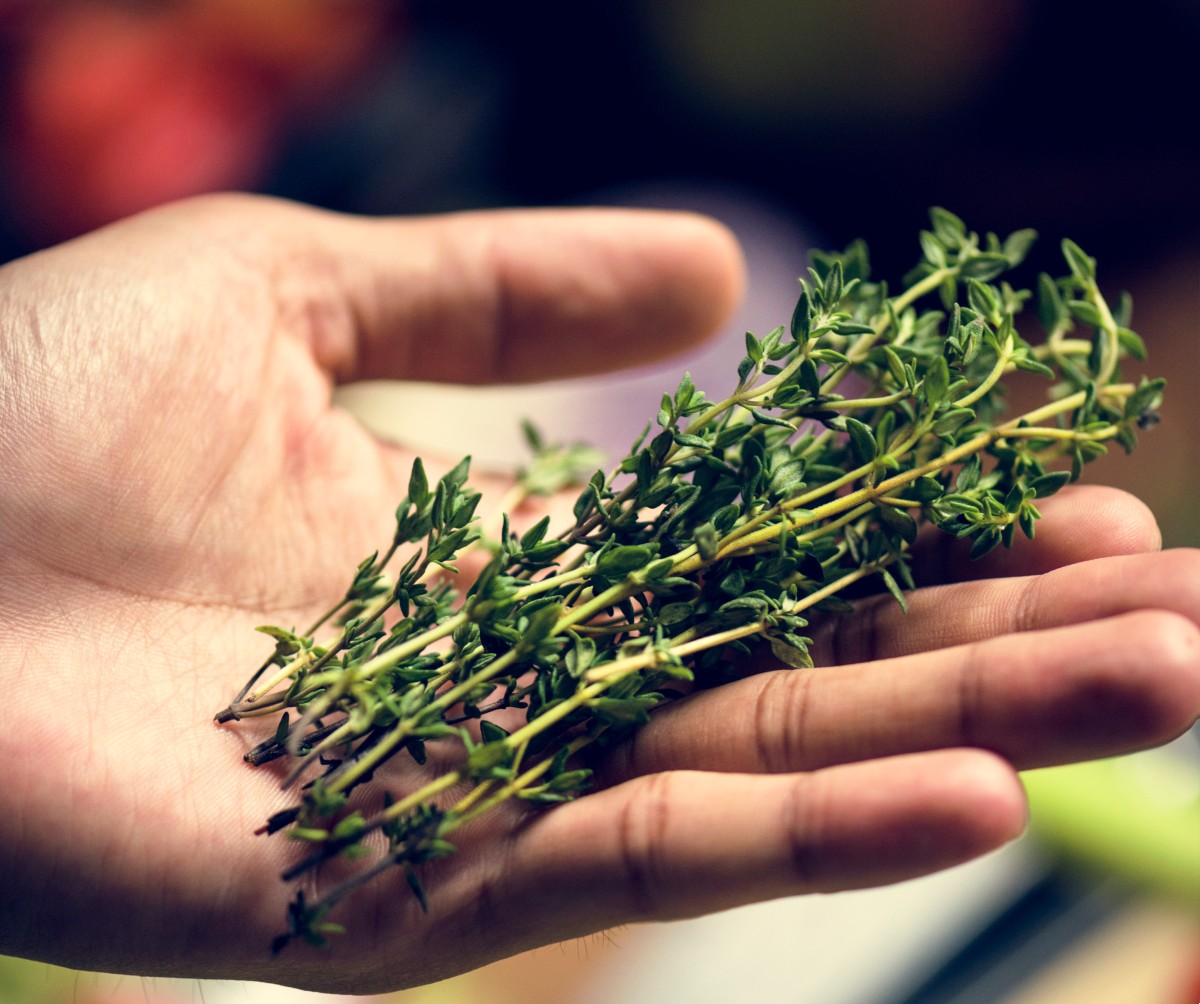 Βότανο θυμάρι