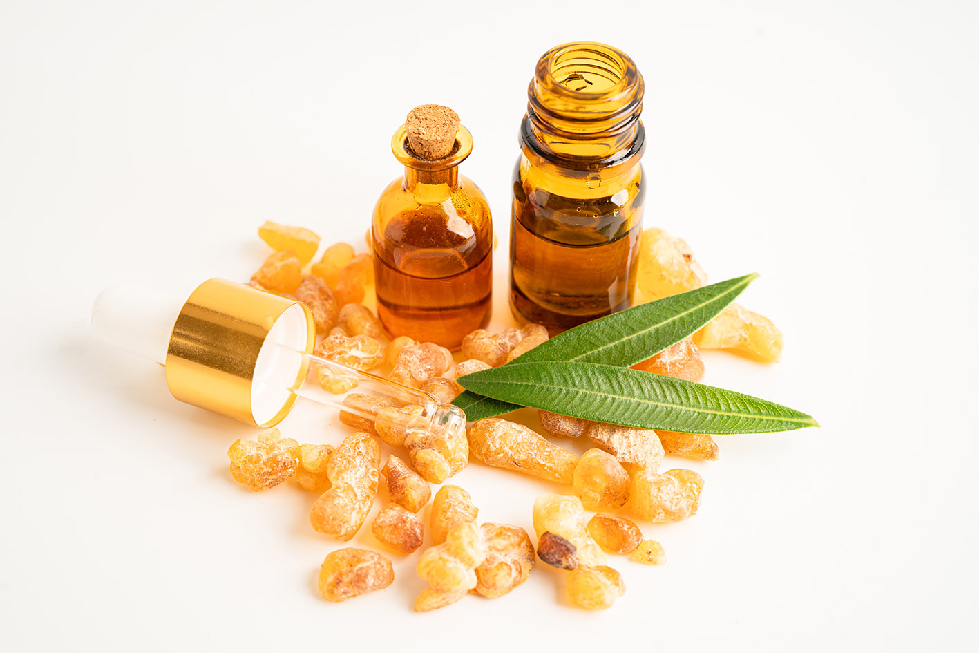 Μαστίχα Χίου καρπός και λάδι