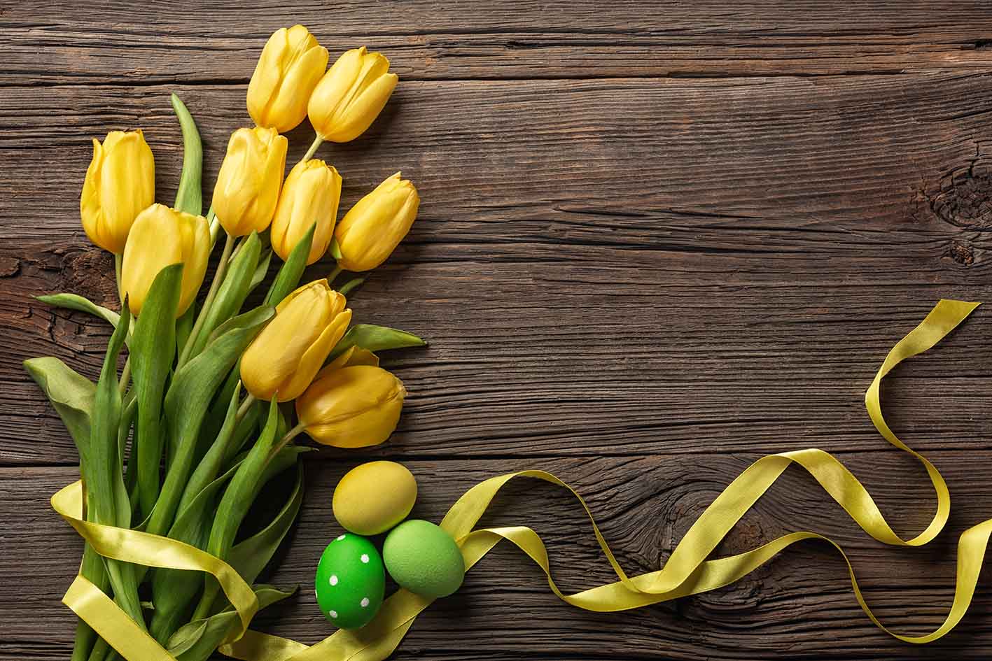 Λουλούδια κίτρινες τουλίπες