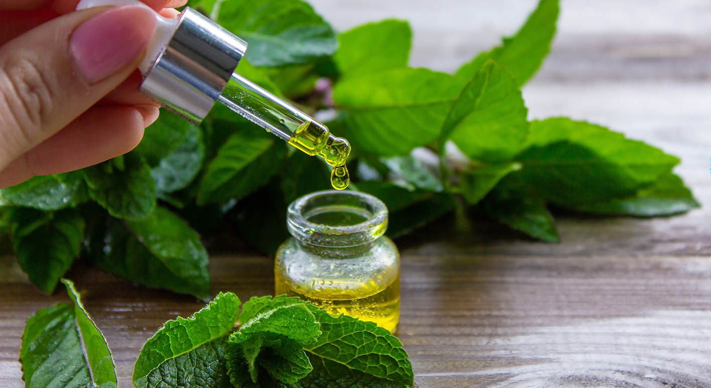 Έλαιο μέντας