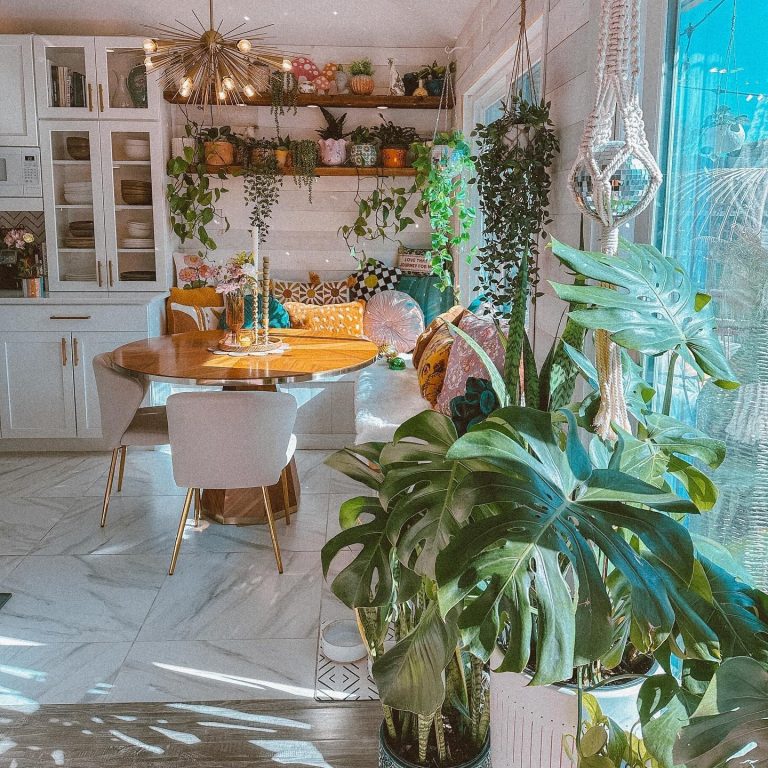 Κουζίνα σπιτιού με φυτά