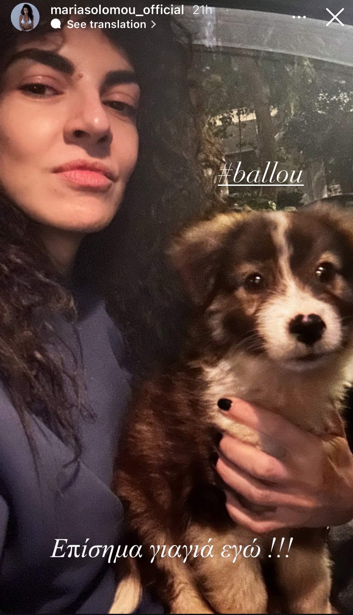 Το σκυλάκι που υιοθέτησε η Μαρία Σολωμού