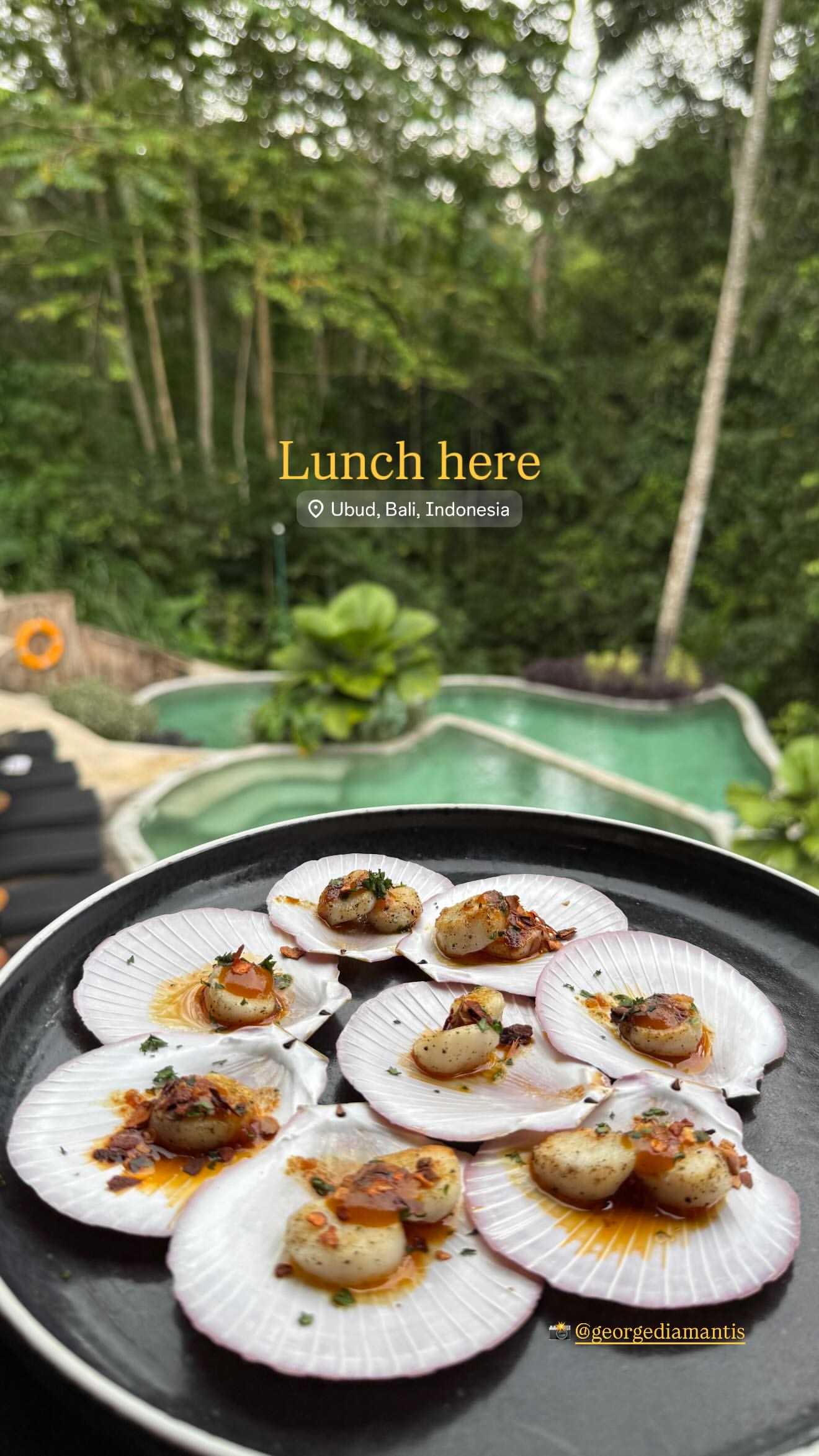 Το πρωινό στο Μπαλί για Μπόμπα - Τανιμανίδη