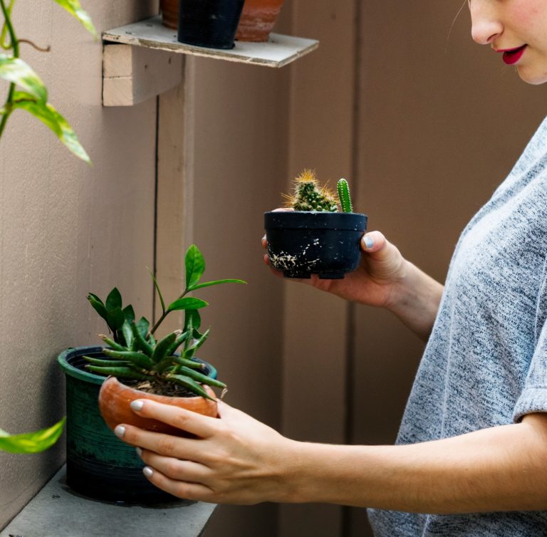Γυναίκα φροντίζει τα φυτά της στις γλάστρες