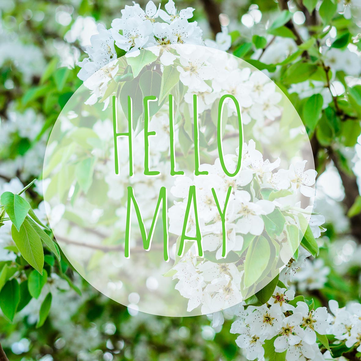 Πρωτομαγιά