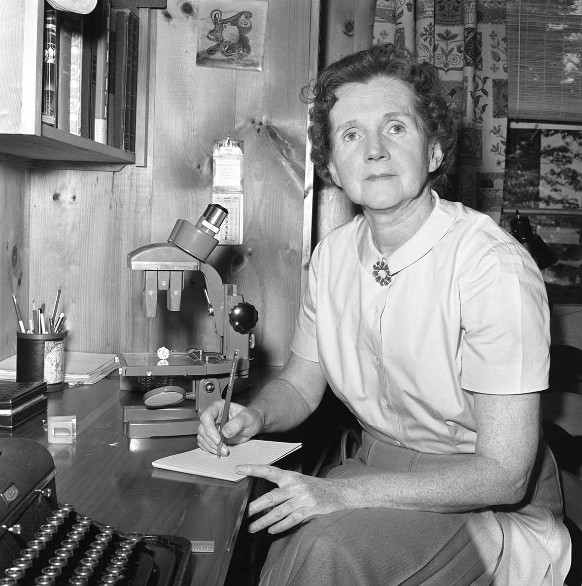 H Rachel Carson, συγγραφέας του «Silent Spring», στο εξοχικό της Boothbay Harbor, στο Maine. Το επεισόδιο του CBS Reports «The Silent Spring of Rachel Carson» μεταδόθηκε αρχικά στις 3 Απριλίου 1963. Η φωτογραφία έχει ημερομηνία 4 Σεπτεμβρίου 1962.