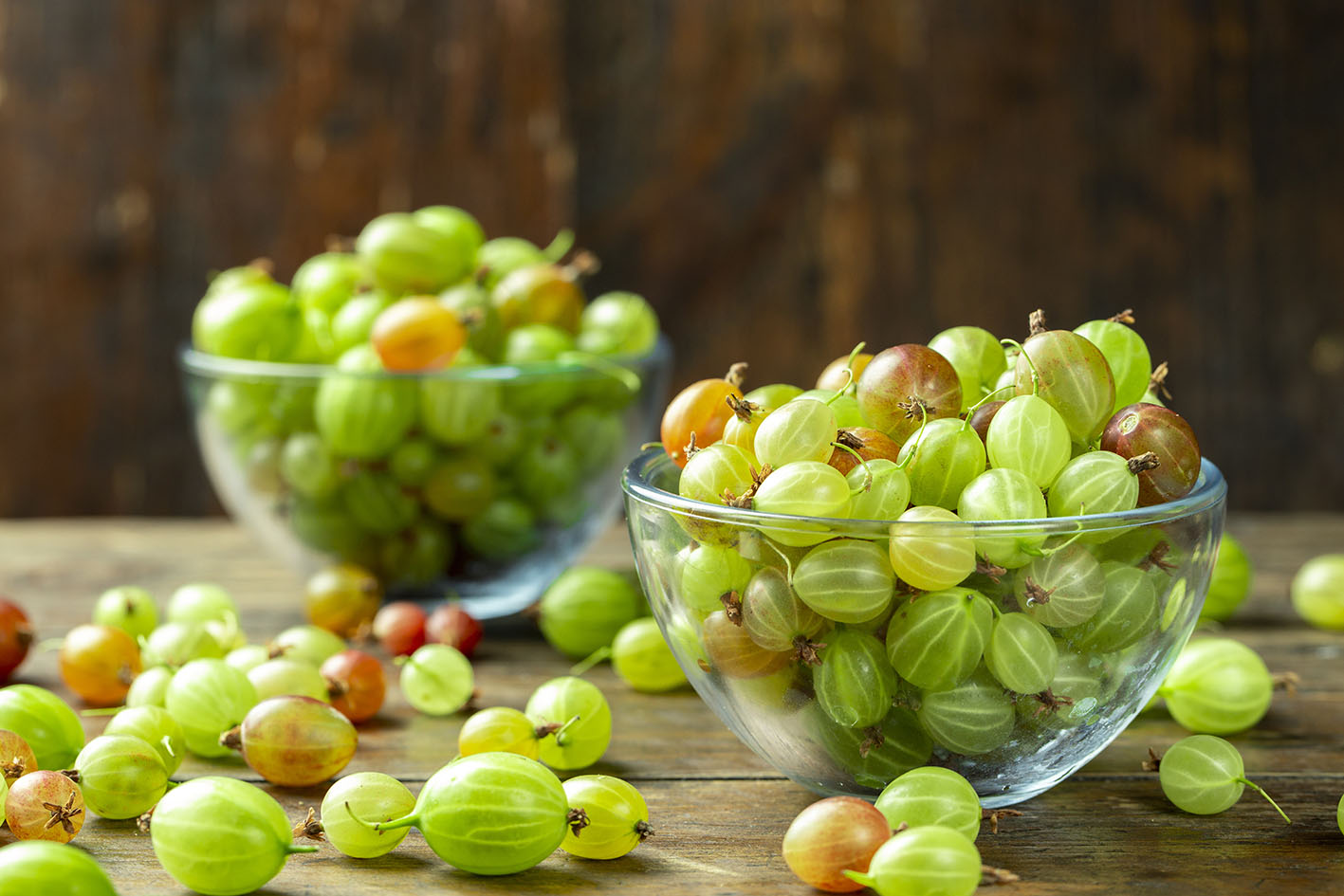 Γκούσμπερι - Φραγκοστάφυλα