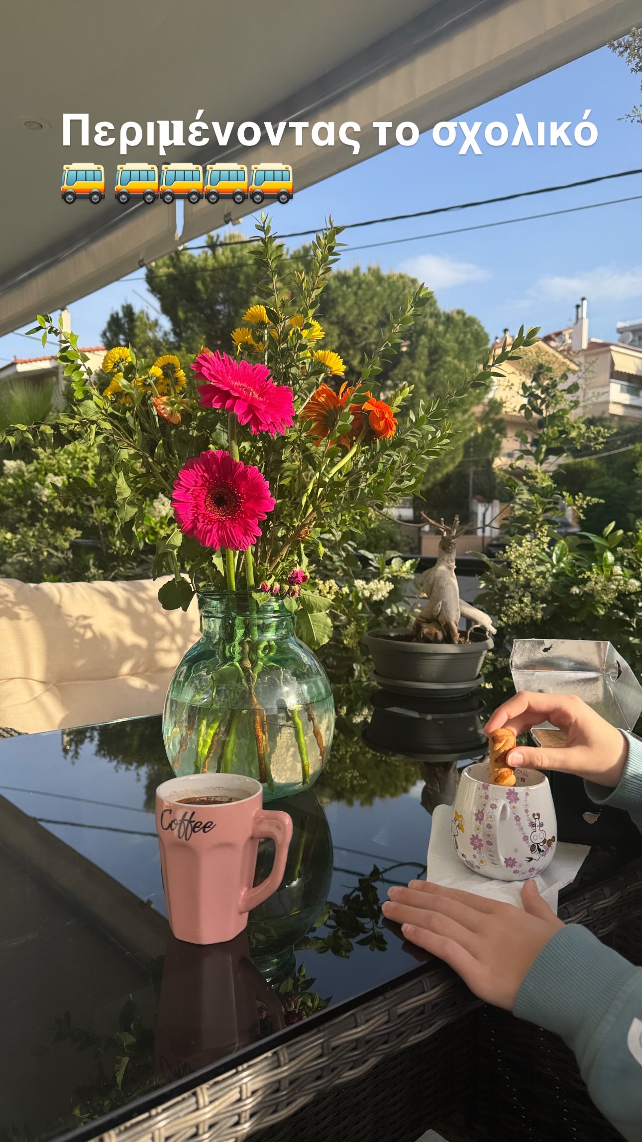 Το μπαλκόνι της Βάσως Λασκαράκη