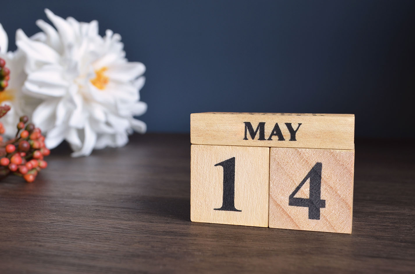 Ημερολόγιο Μάιος 14 - Δύο κύβοι ό ένας το 1 και ο δεύτερος το 4