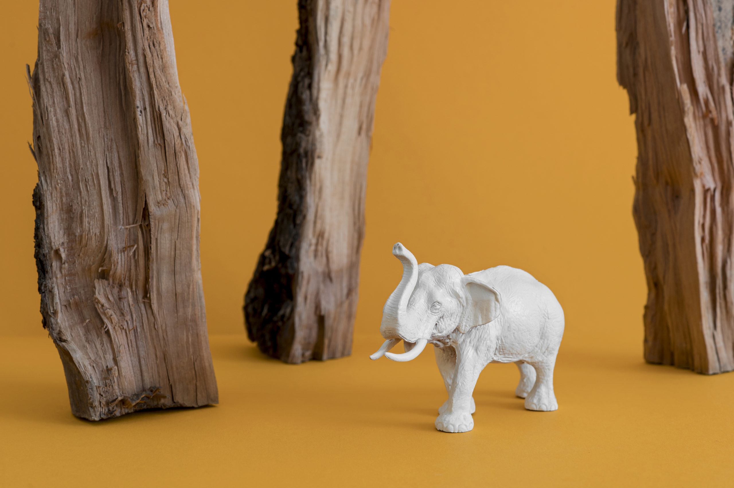 Ελέφαντας σε λευκό χρώμα για διακόσμηση