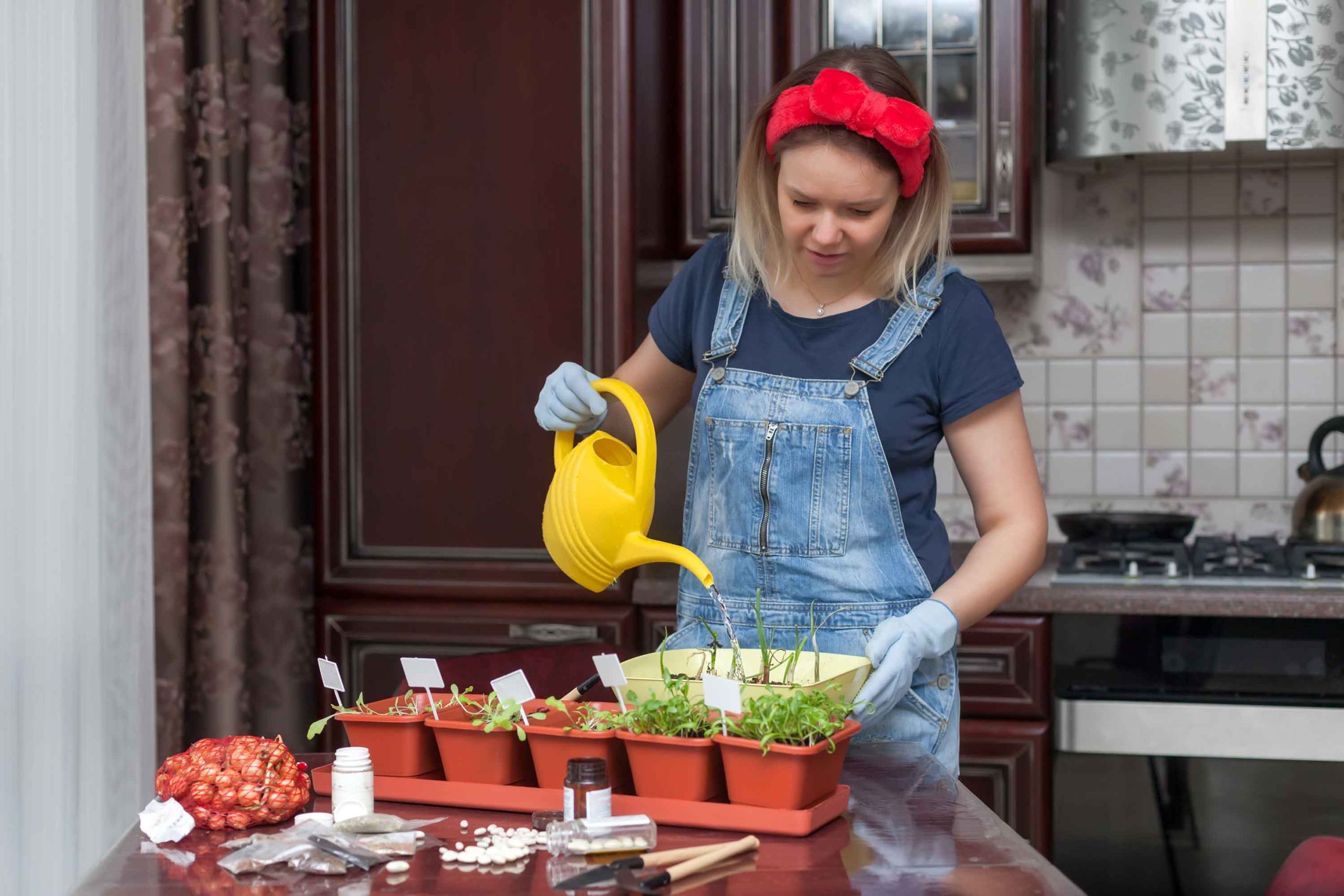 Γυναίκα ποτίζει μικρά γλαστράκια της κουζίνας της