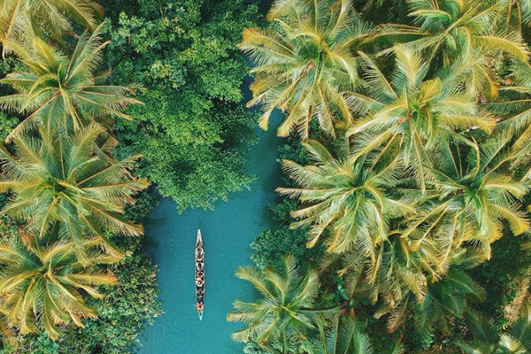 Διεθνής Ημέρα των Τροπικών