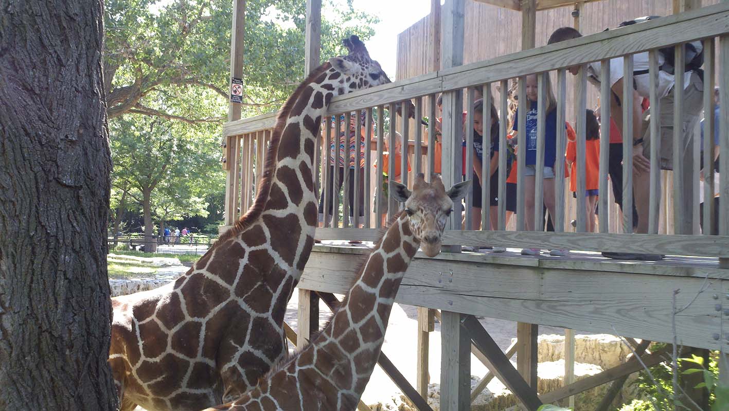 Ζωολογικός κήπος στο Κάνσας