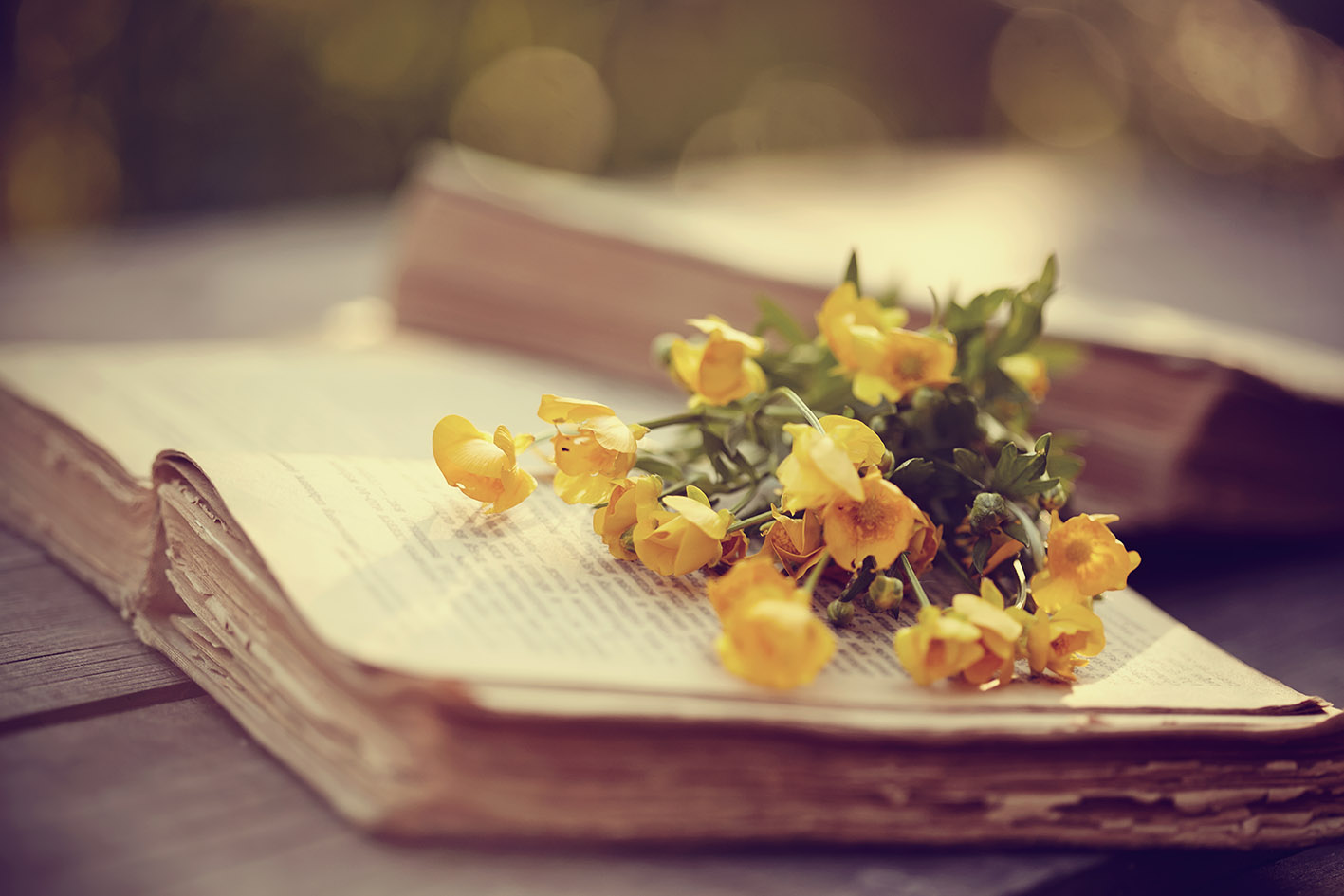 Bιβλίο με λουλούδια