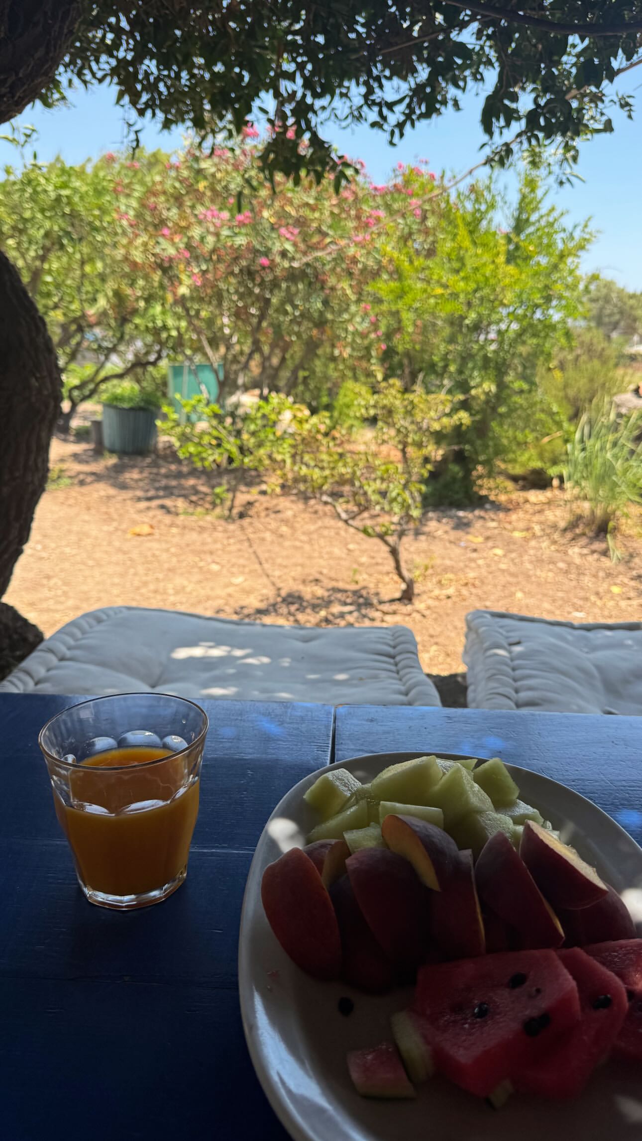 Η Τζένη Μπαλατσινού απολαμβάνει φρέσκα φρούτα στην αυλή της στην Πάτμο