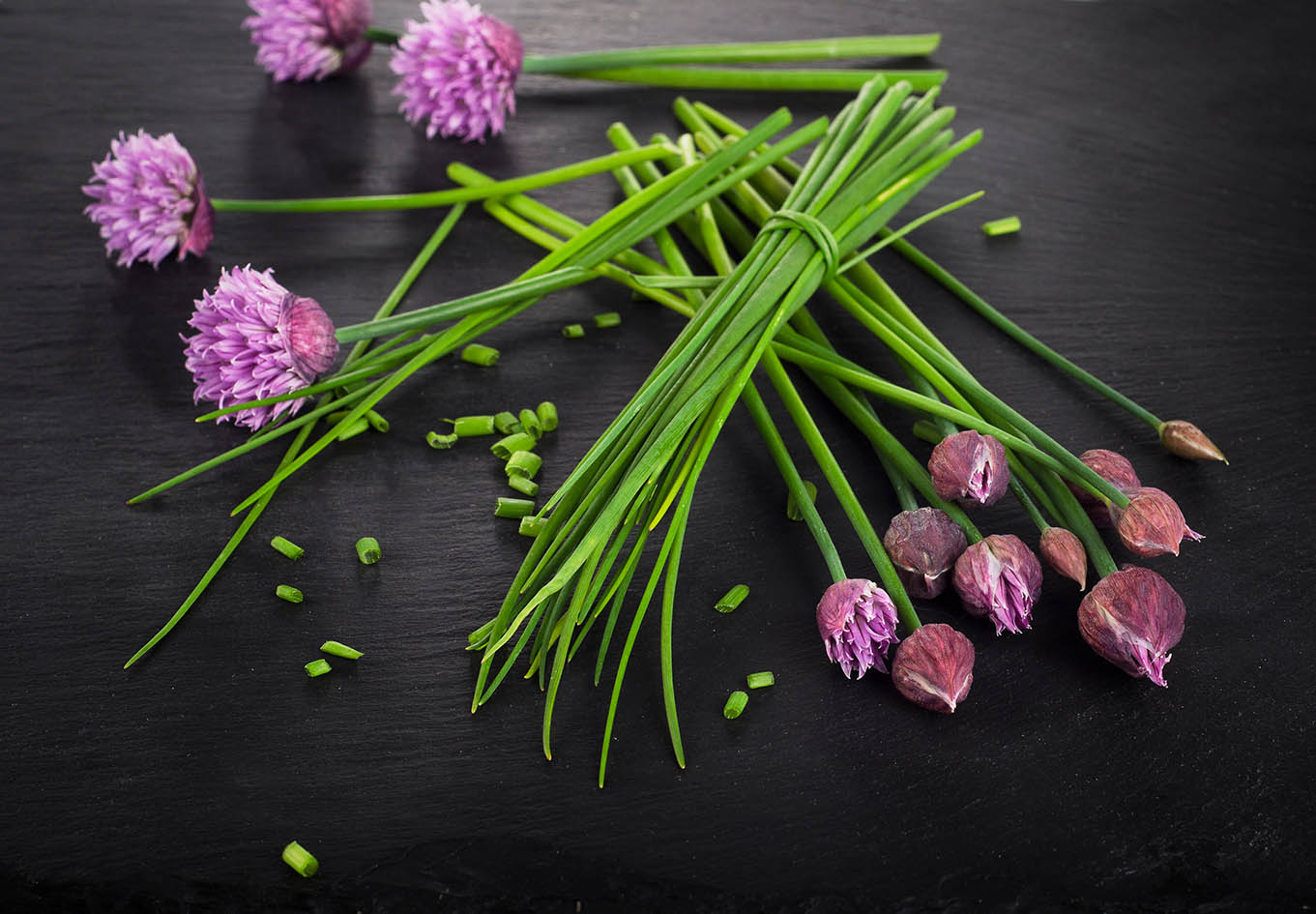 Σχοινόπρασο