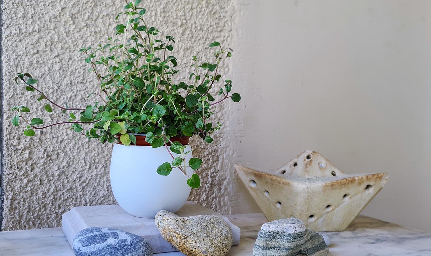 Αρωματικά βοτάνια που χαρίζουν υγεία