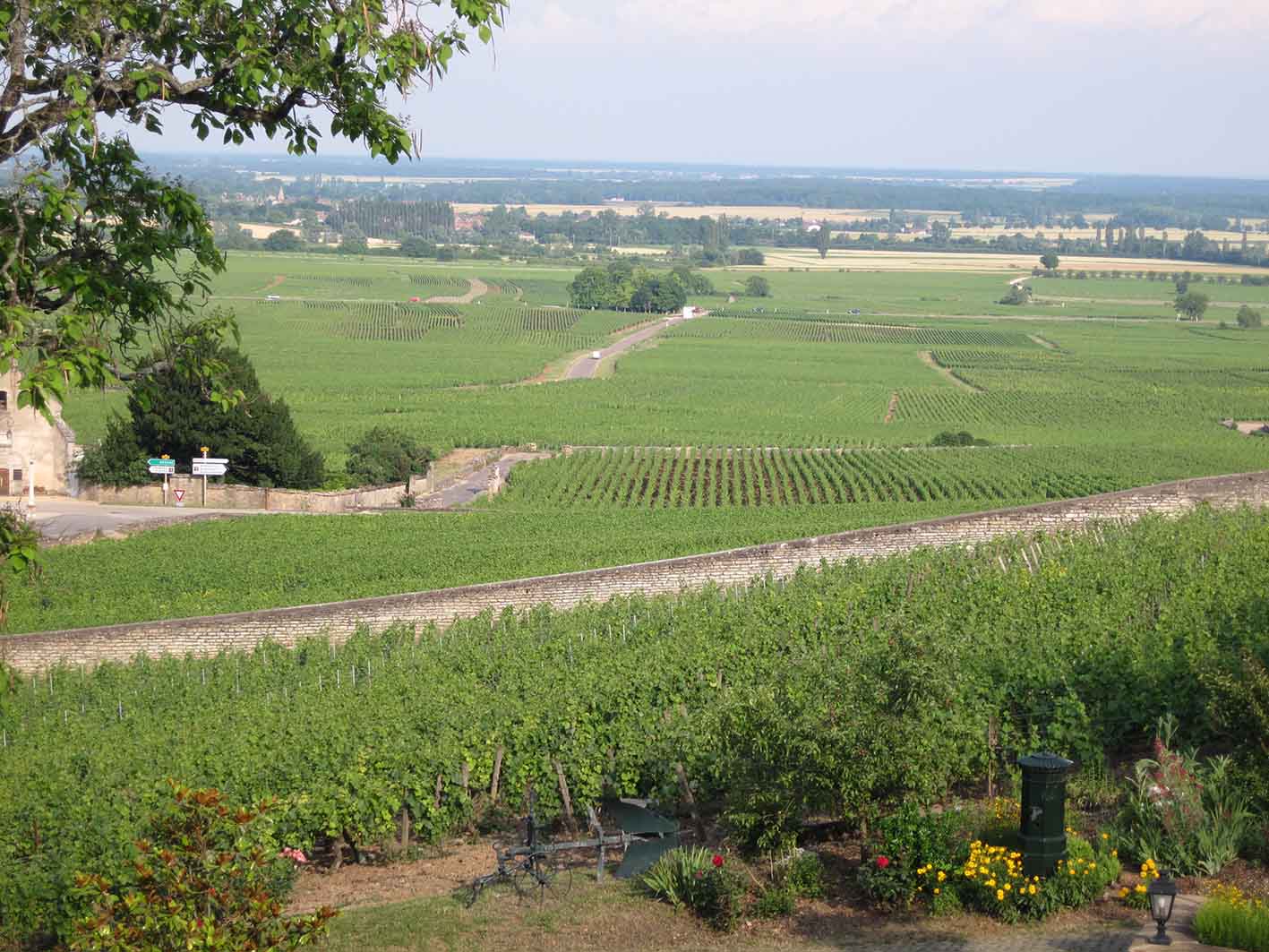 Oινικές περιοχές στη Γαλλία