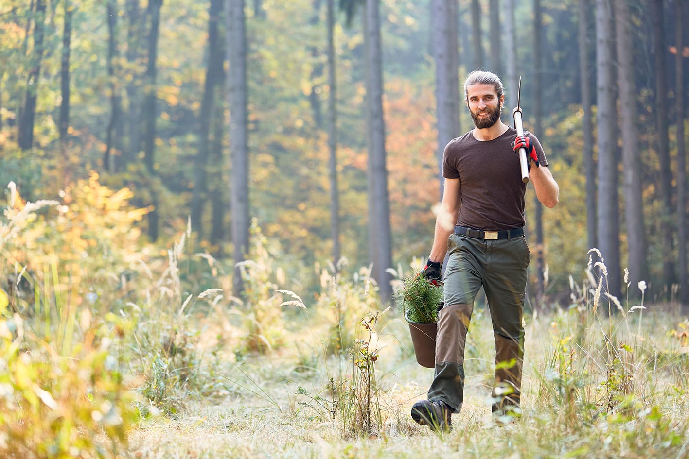  Δασοφύλακας