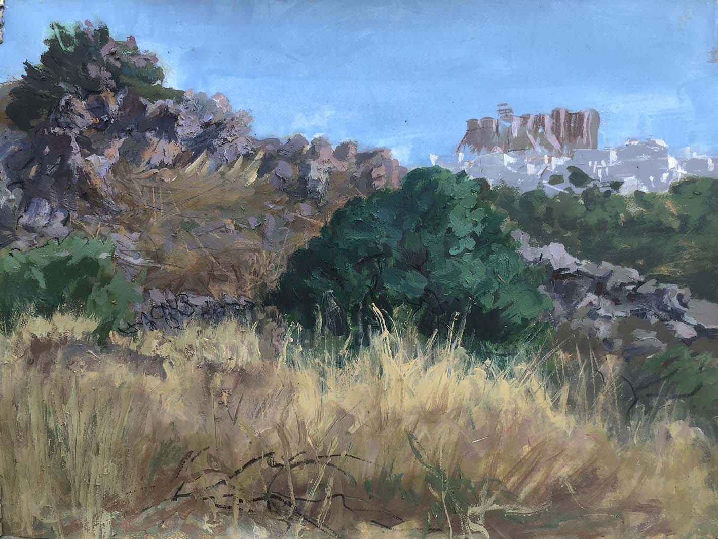 Βράχια και ξερά χόρτα του πρώιμου καλοκαιριού, Πάτμος (Ιούνιος 2025).