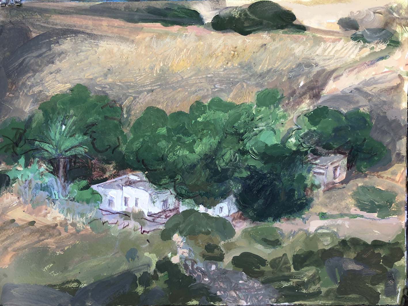 Στο άγριο Λιβάδι, Πάτμος 8 Ιουνίου 2025.