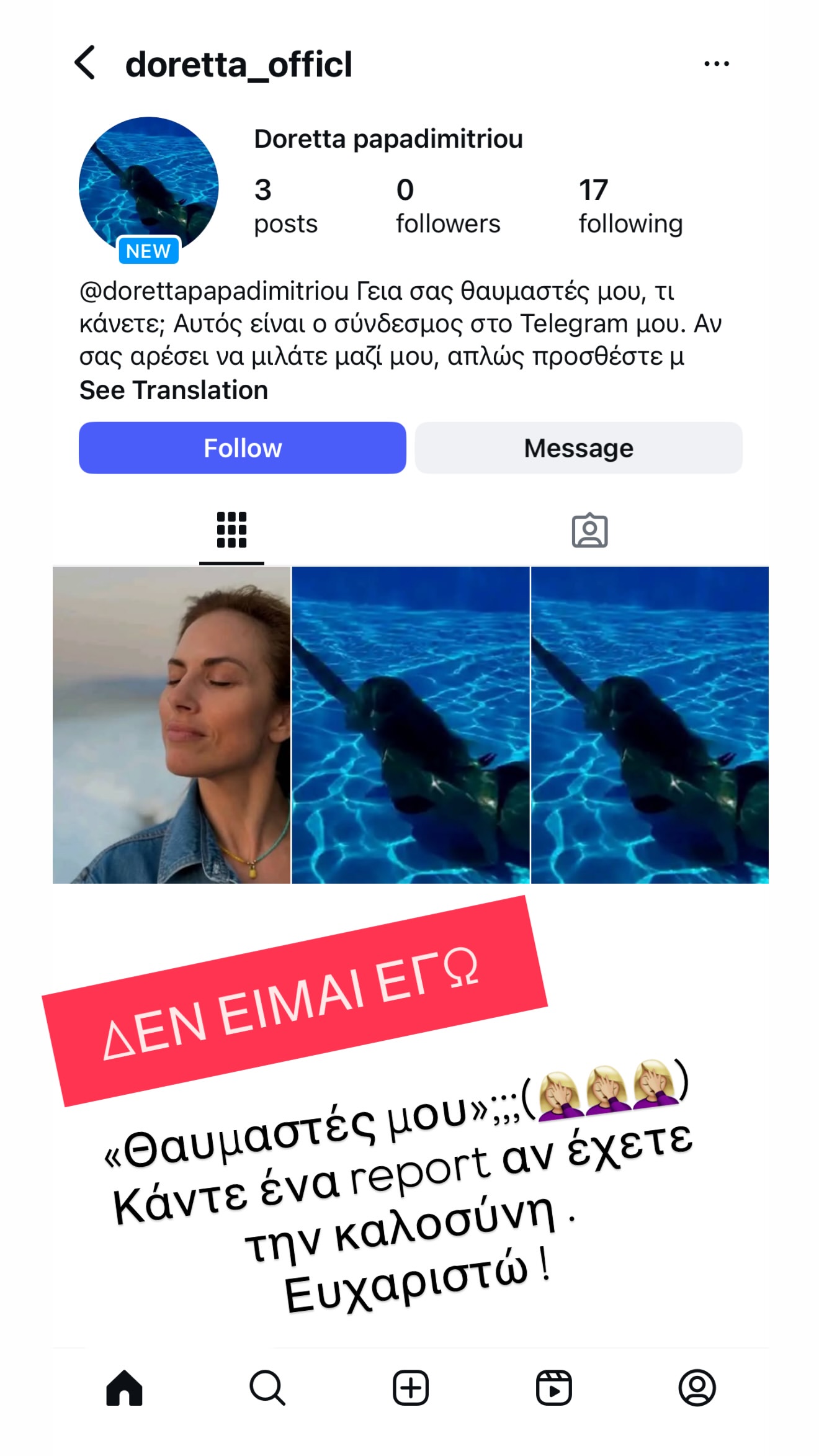 Fake λογαριασμός της Ντορέττας Παπαδημητρίου στο Instagram