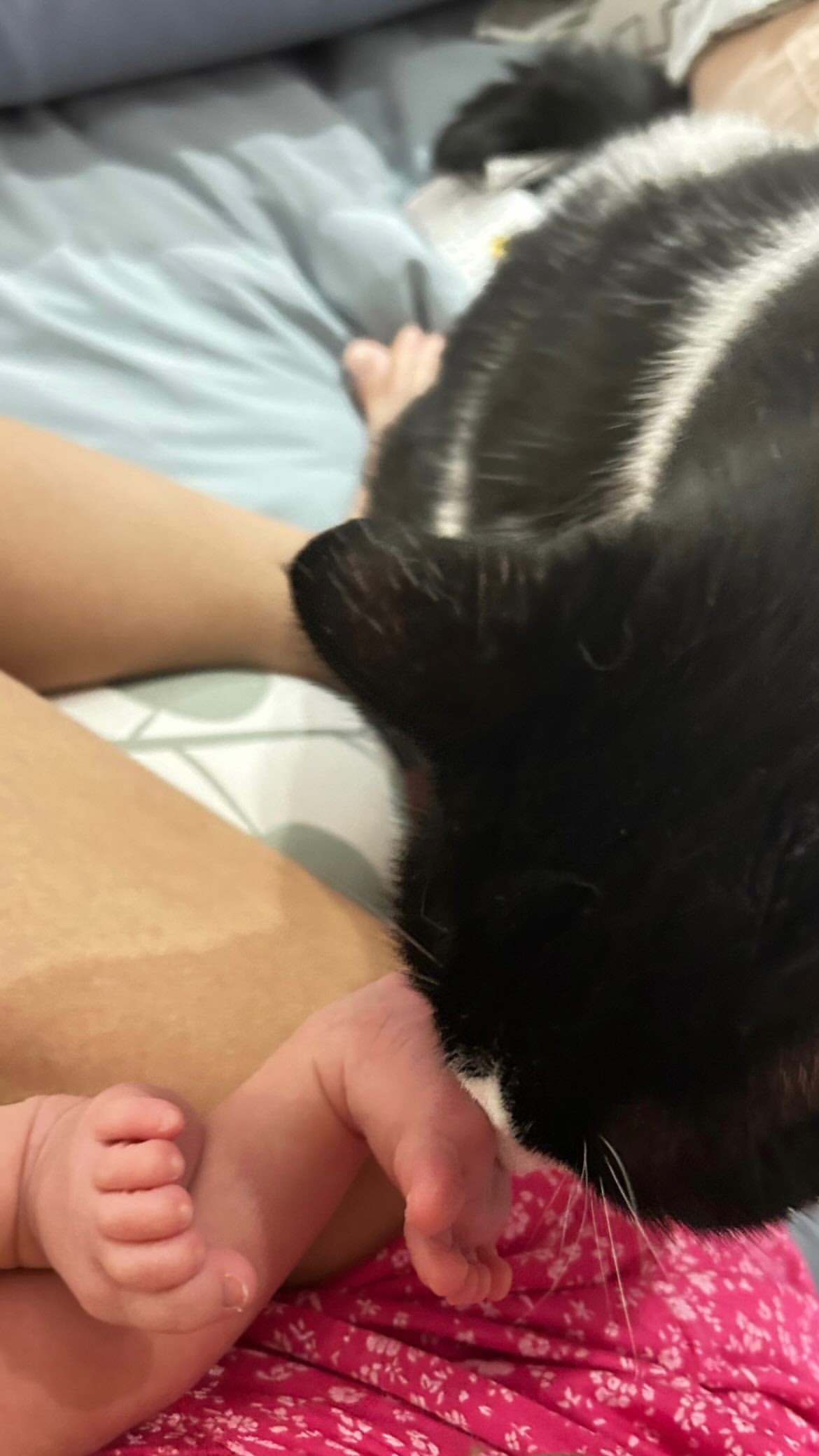 Το μωράκι της Άριελ Κωσταντινίδη