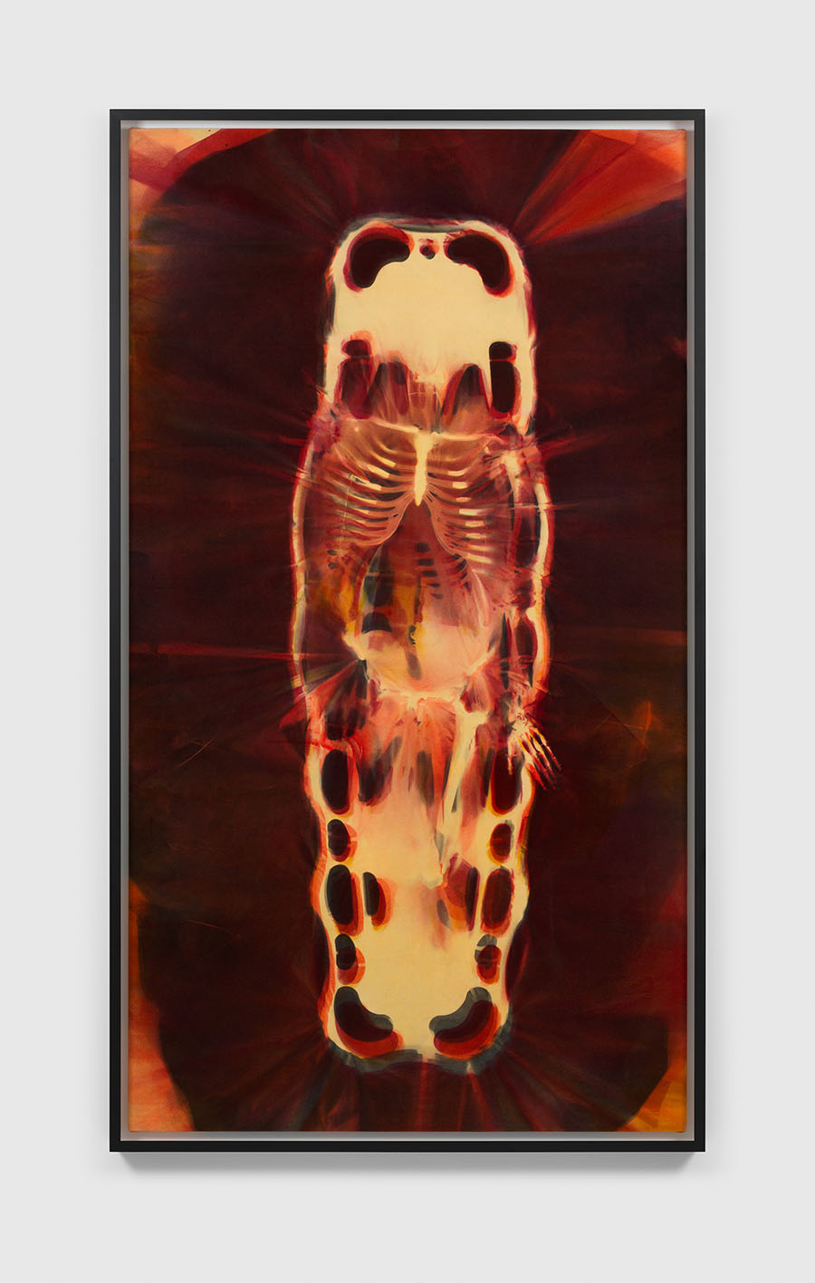 Andra Ursuta - Nocturnal Omission 1, 2021-2022 - Photoreactive dye on velvet -  229.9 x 127.6 c - Framed: 237.5 x 135.6 x 8.9 cm