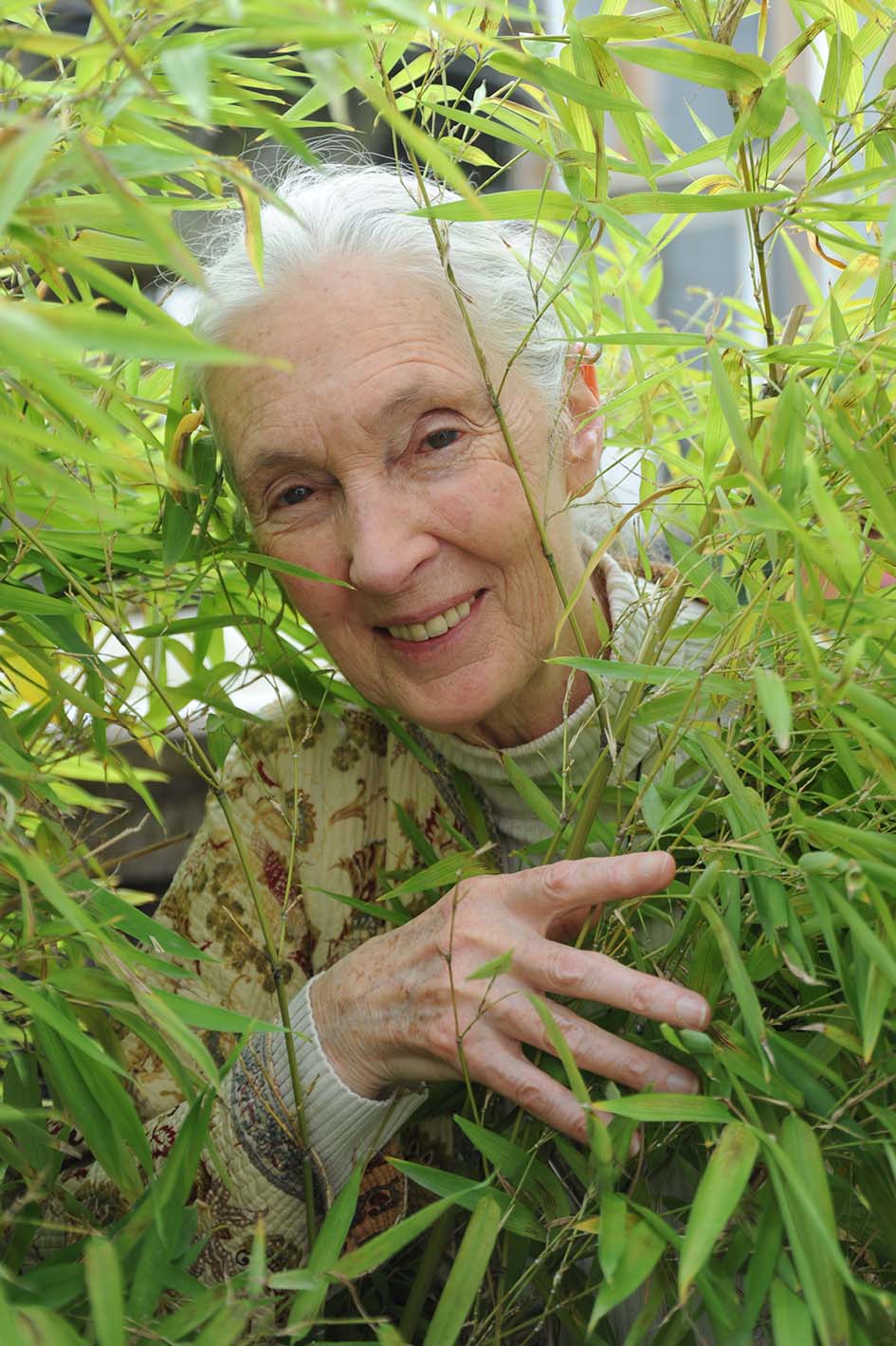 Dr, Jane Goodall