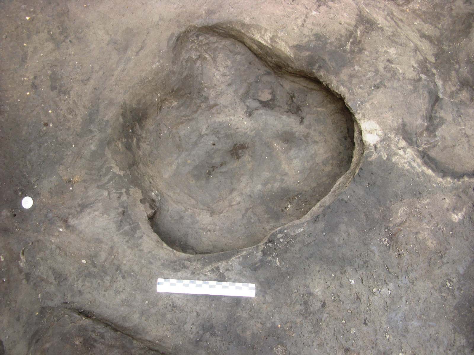 Το αποτύπωμα ενός ρινόκερου – Stephanorhinus kirchbergensis ή Stephanorhinus hemitoechus – είναι το πρώτο αυτού του είδους από το Πλειστόκαινο που βρέθηκε στην Ευρώπη. Φωτογραφία: Senckenberg