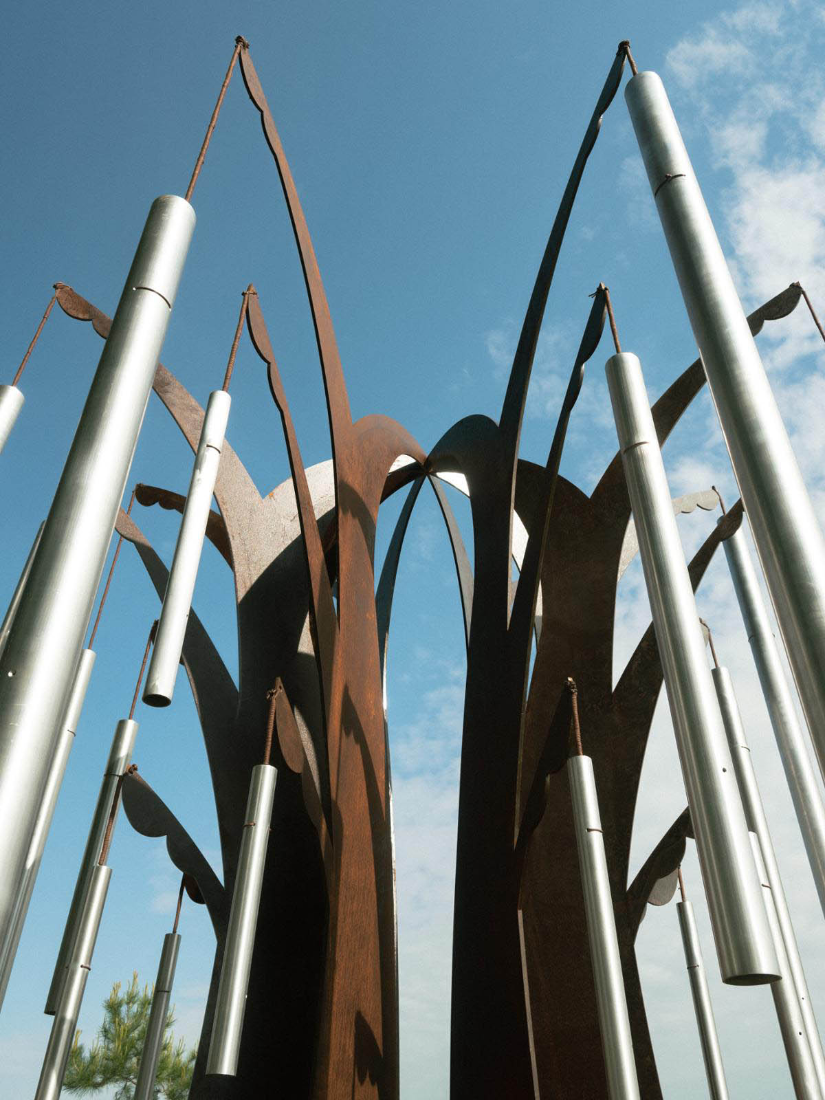 Δέντρο Ήχου