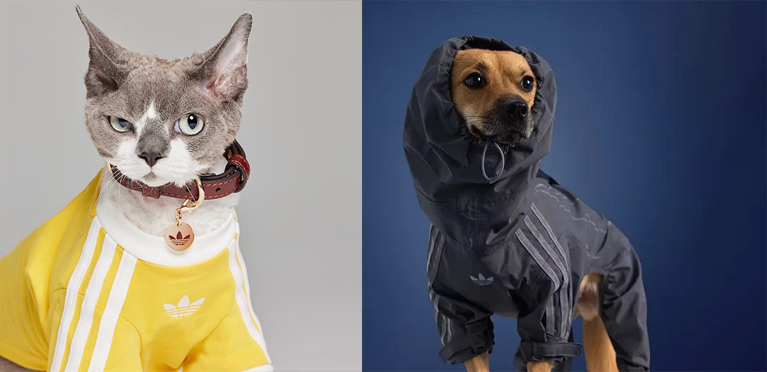 Adidas η συλλογή 2025 για τα κατοικίδια