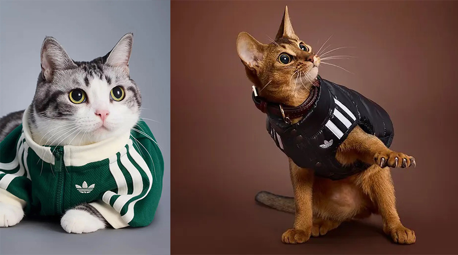 Adidas η συλλογή 2025 για τα κατοικίδια