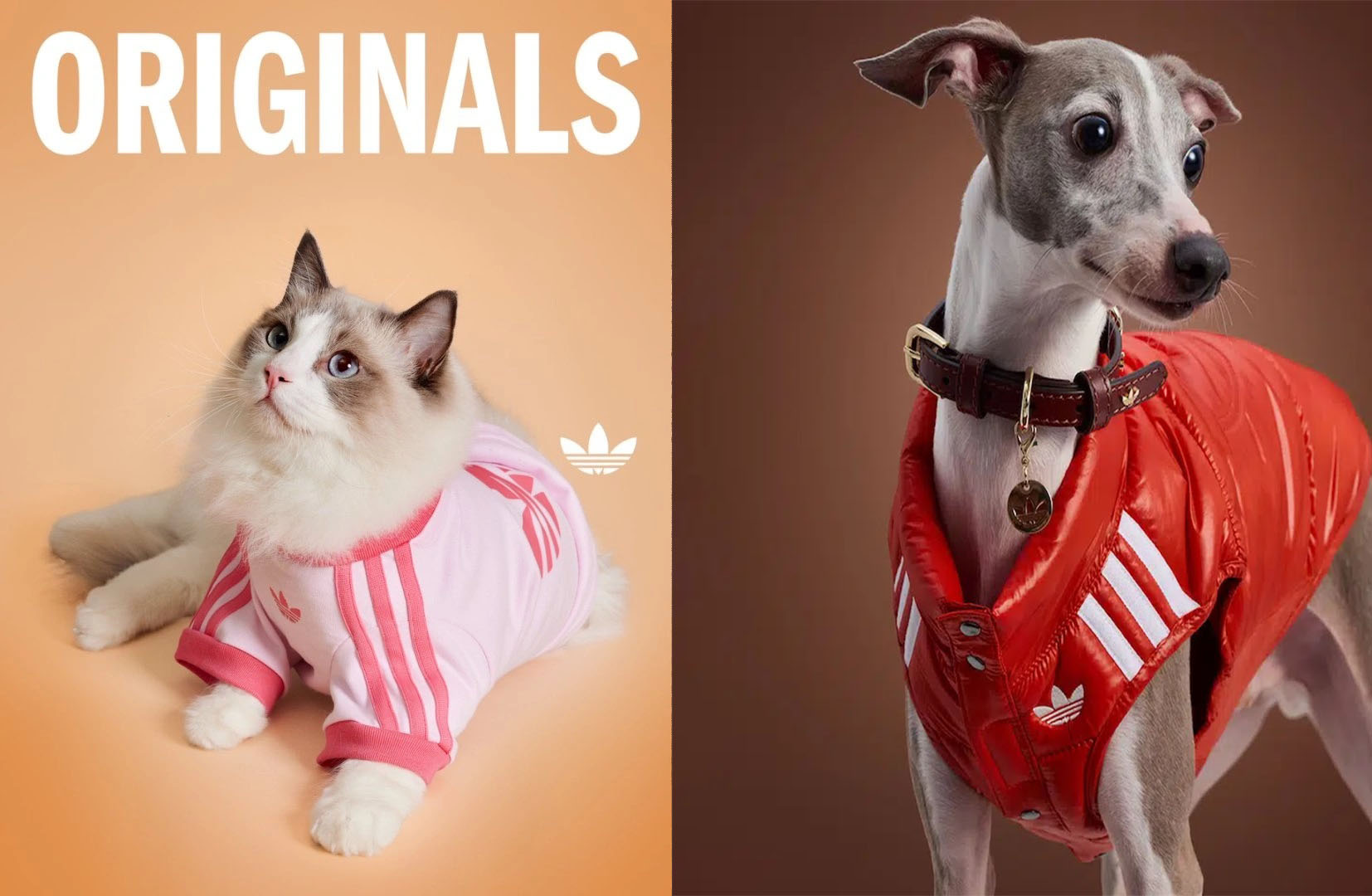 Adidas η συλλογή 2025 για τα κατοικίδια
