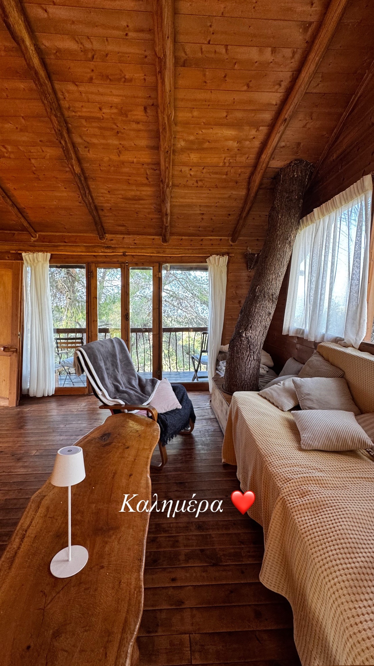 Το δεντρόσπιτο που μένει η Δανάη Μπάρκα στην Αμαλιάδα