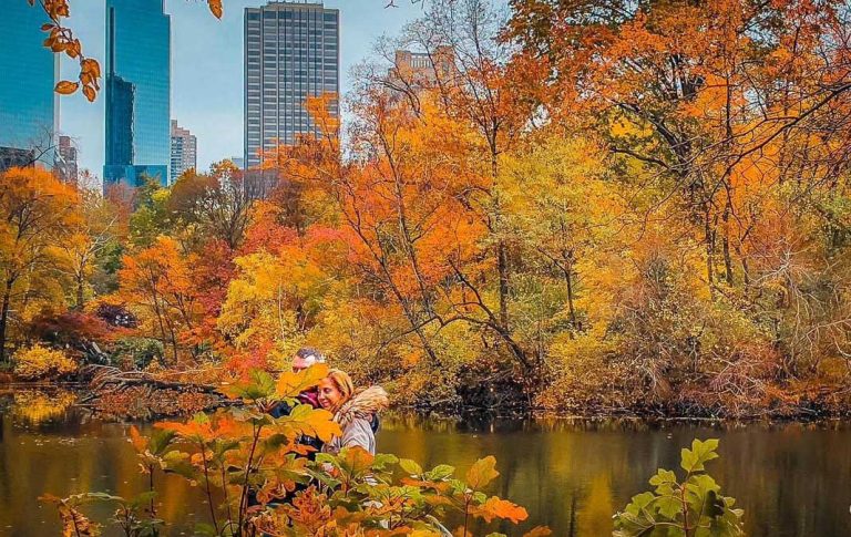 Το πάρκο της Νέας Υόρκης