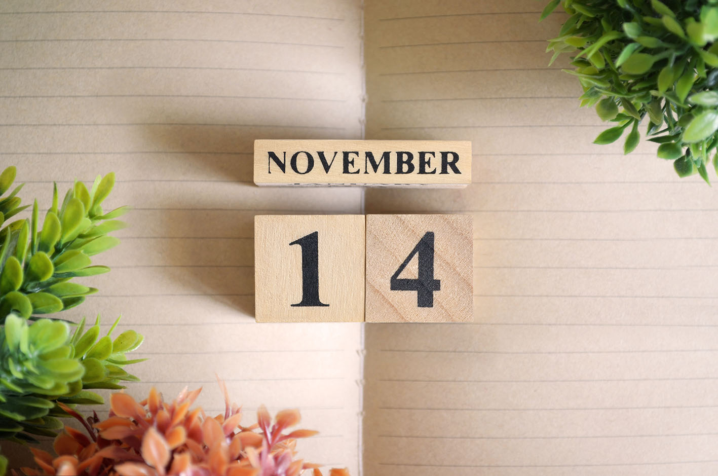 Ημερολόγιο Νοέμβριος 14