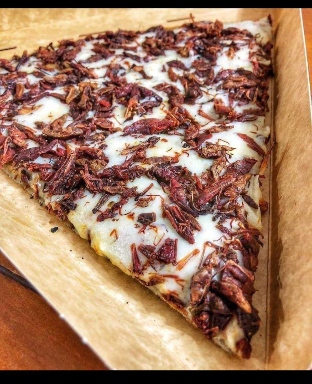 Πίτσα από το Μεξικό με ακρίδες