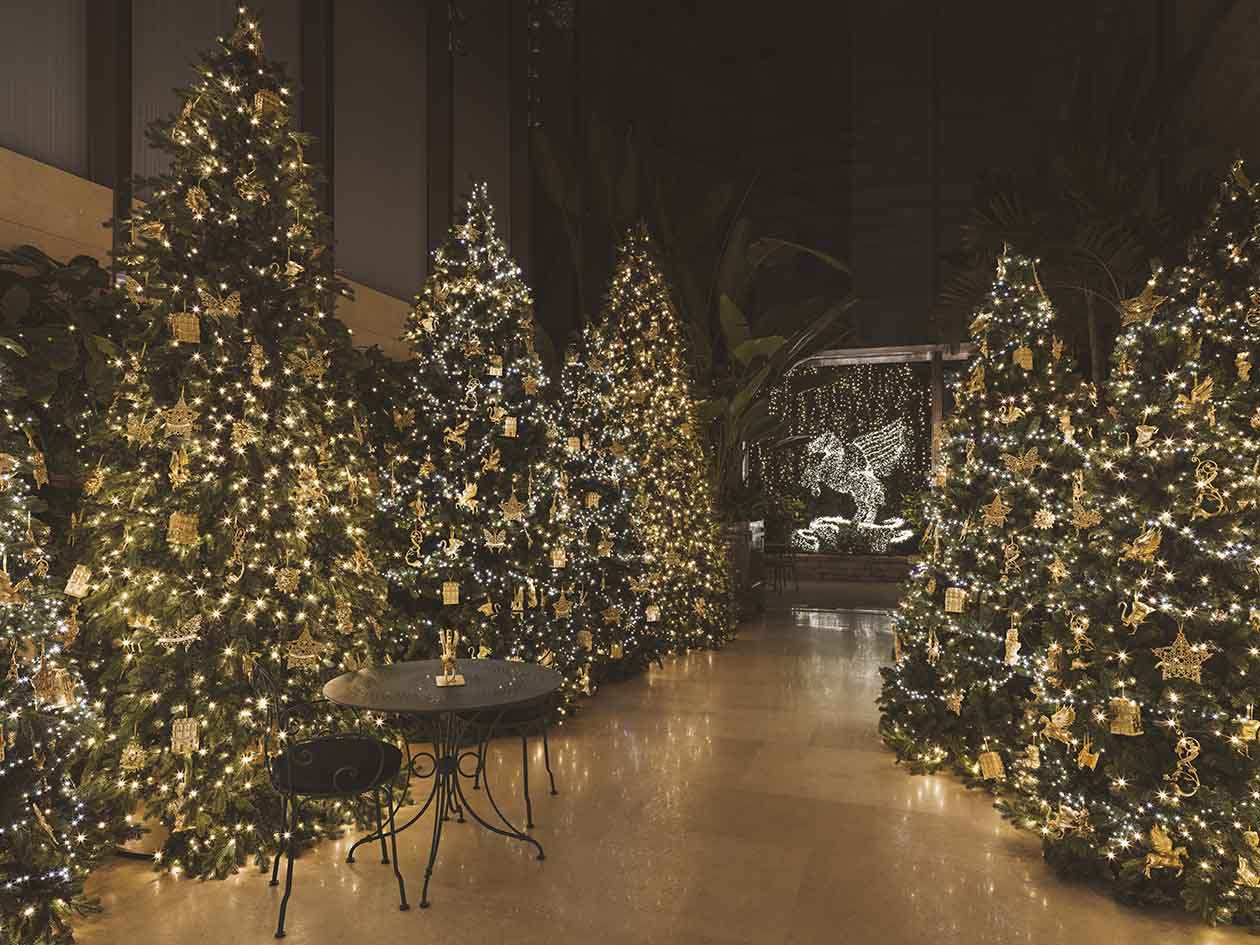 Παρουσίαση των διακοσμήσεων για τα Χριστούγεννα 2025 στο κατάστημα Dior στην avenue Montaigne στο Παρίσι