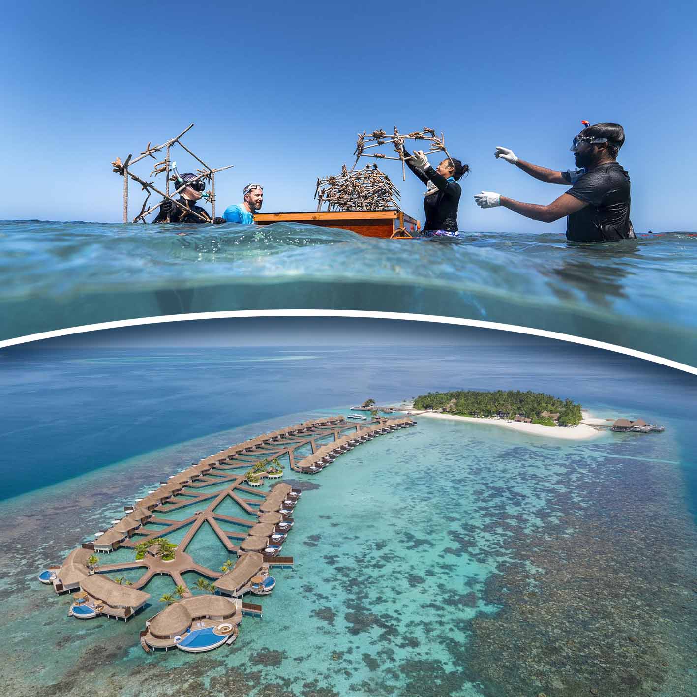 Το ξενοδοχείο W στις Μαλδίβες και οι δράσεις αποκατάστασης κοραλλιογενών υφάλων