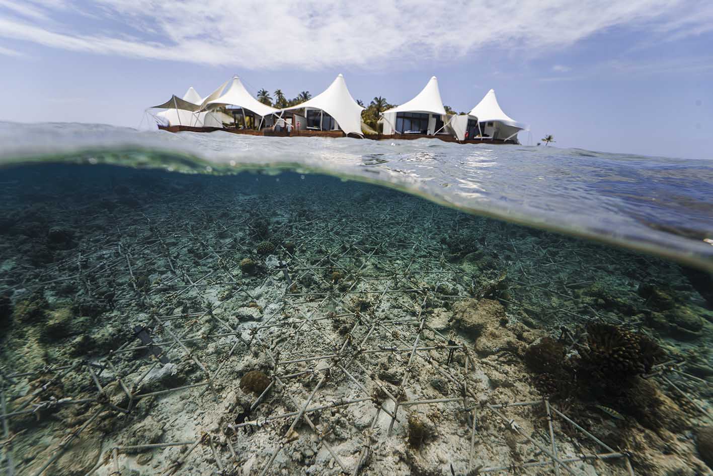Το ξενοδοχείο W στις Μαλδίβες και οι δράσεις αποκατάστασης κοραλλιογενών υφάλων