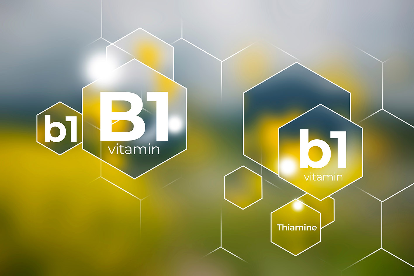 Βιταμίνη Β1- Θειαμίνη