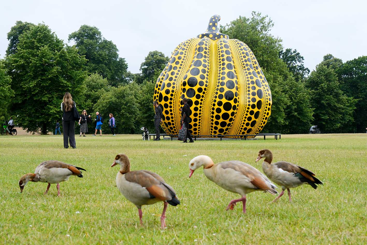 Η «Κολοκύθα» (2024) Γιαπωνέζας καλλιτέχνιδας Γιαγιόι Κουσάμα, ένα μεγάλης κλίμακας χάλκινο γλυπτό, αποκαλύπτεται στους Κήπους του Κένσινγκτον στο Λονδίνο. 9 Ιουλίου 2024.