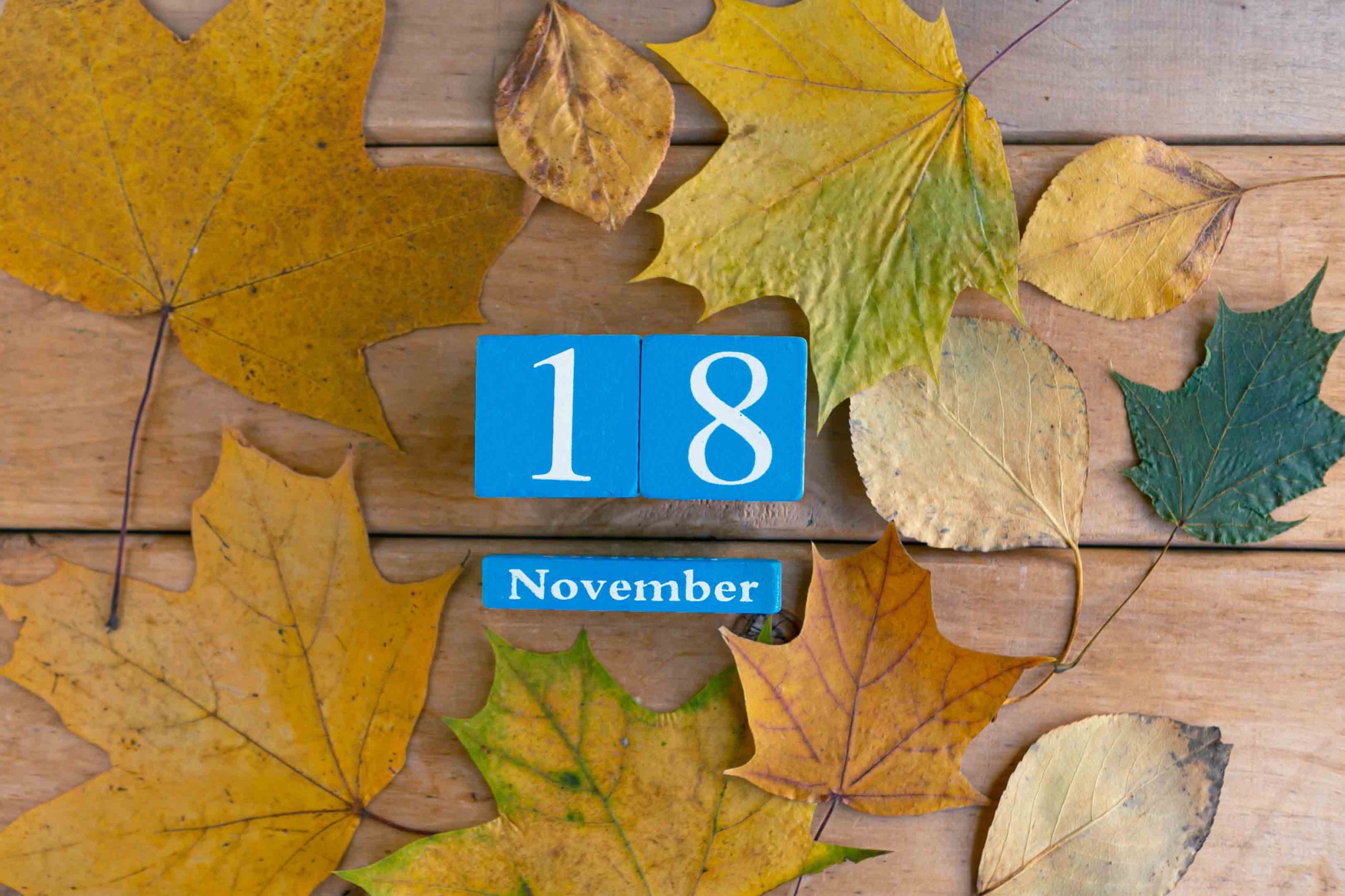 Ημερολόγιο Νοέμβριος 18