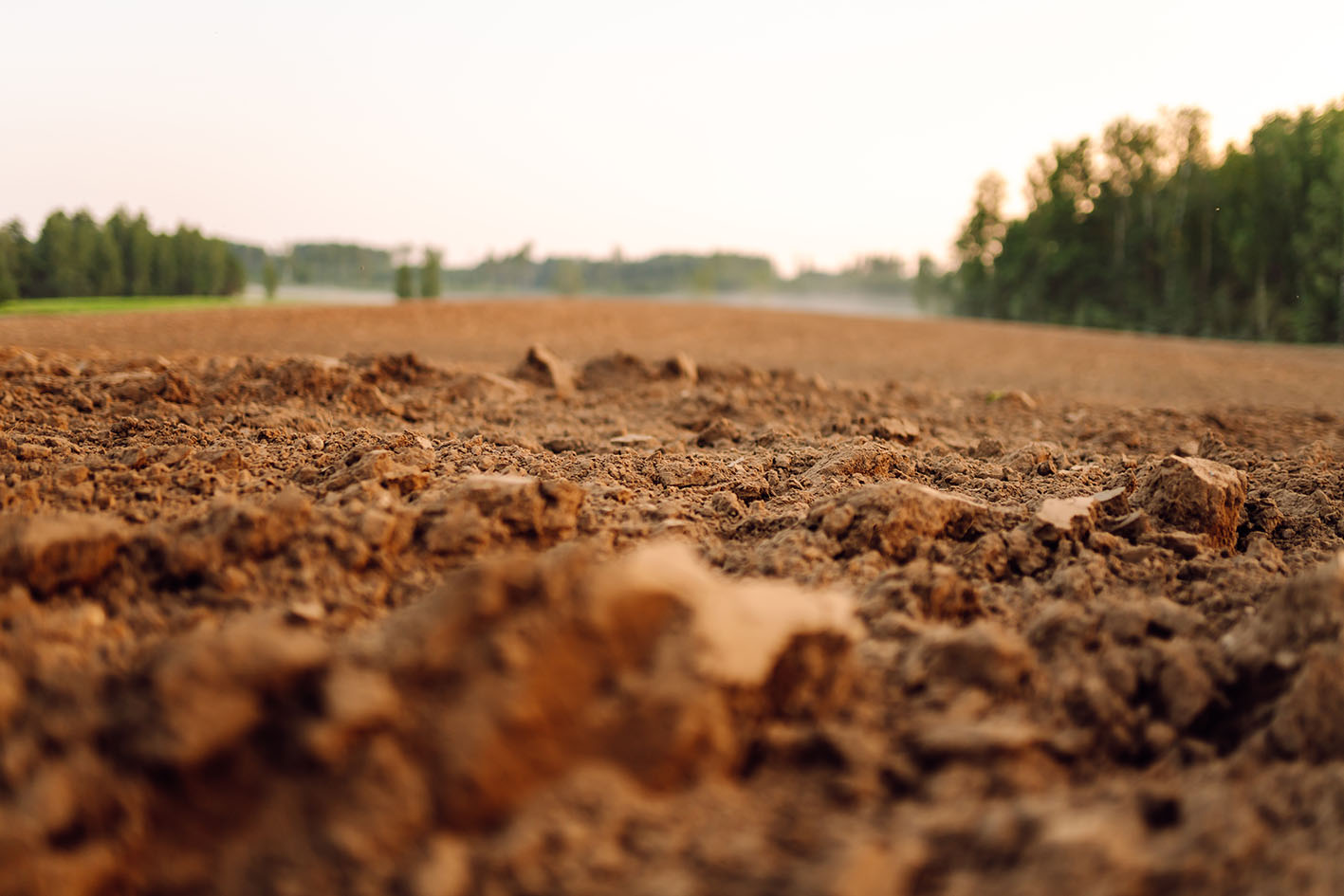 Χώμα στη φύση