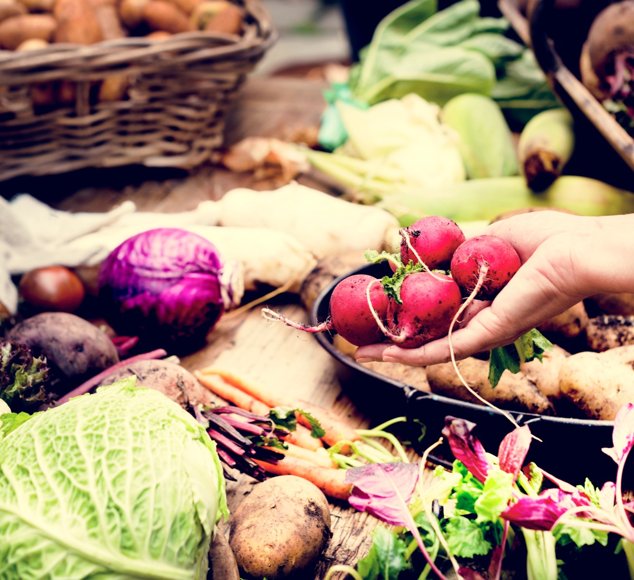 Λαχανικά, παντζάρια, λάχανο και καρότο